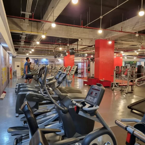 Treadmills at Gold's Gym Vertis North