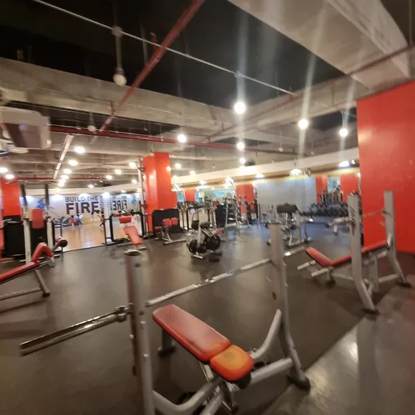 Lifting Barbells at Gold's Gym Vertis North
