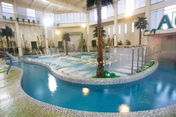 Ace Water Spa