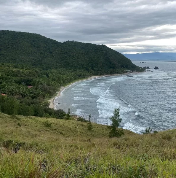 Baler, Aurora